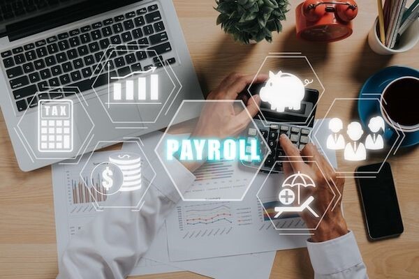 payroll management software vs manual processes